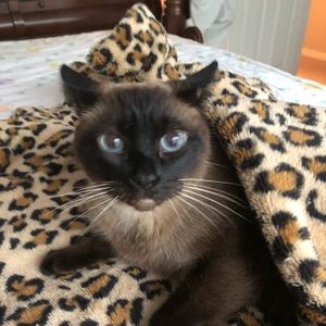 Meet your Posher, Debby